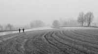 Burnaby North Viking CROSS-COUNTRY Team Sign-Up and Try-Outs. Be a member of the Viking Cross-Country Running Team –  Two Senior Teams (gr 11 & 12 Boys & Girls) and Two […]