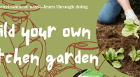 The Seed Assortment is back in the Library!  Celebrate Environment Month and Earth Day by learning how to grow your own plants from seed.  We have over 50 varieties of [&hellip;]